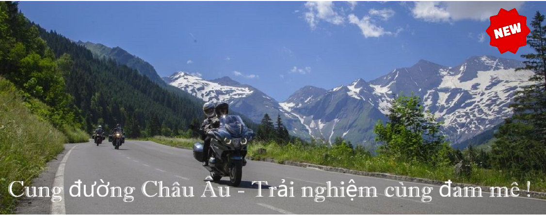 Alps_banner 1